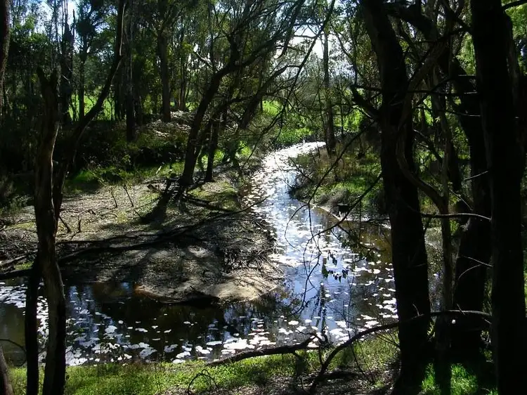 Fifth view of Homely rural property listing, Lot 2 Cormint Road, Manjimup WA 6258