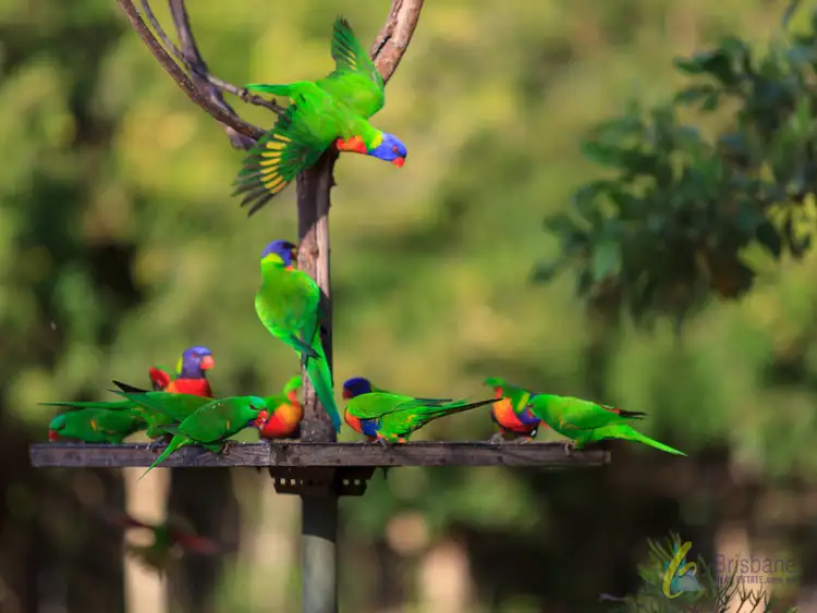 Fourth view of Homely house listing, 1764 Mt Gravatt-Capalaba Rd, Chandler QLD 4155