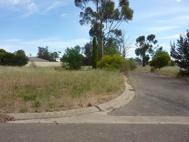 Fifth view of Homely land listing, Alt 306 Schaedel St, Nuriootpa SA 5355