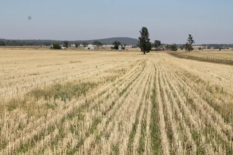 Main view of Homely rural property listing, - Wattleflat, Walleroobie NSW 2665