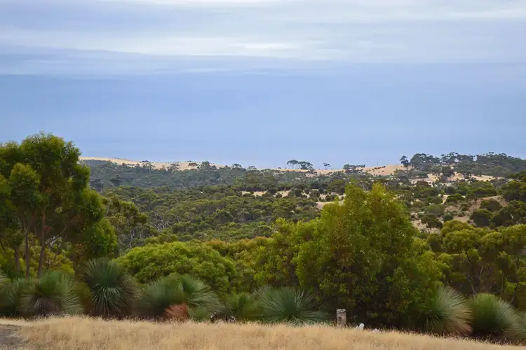 Main view of Homely rural property listing, 1172 WESTERN RIVER ROAD, Gosse SA 5223