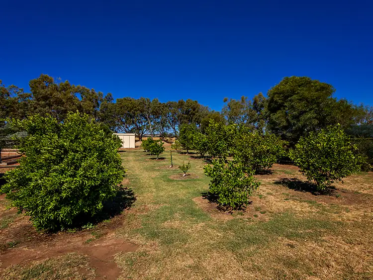 Fifth view of Homely rural property listing, 6521 Nangetty-Walkaway Road, Walkaway WA 6528