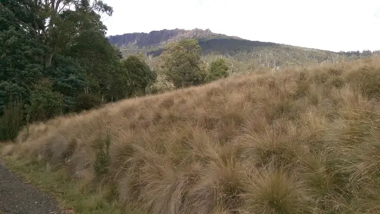 Sixth view of Homely rural property listing, lot 7/600 Mount Barrow Rd, Nunamara TAS 7259