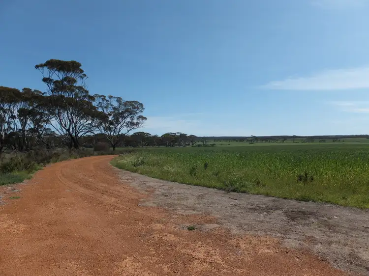 Fifth view of Homely land listing, Lot 1393 South Coast Highway, Ravensthorpe WA 6346