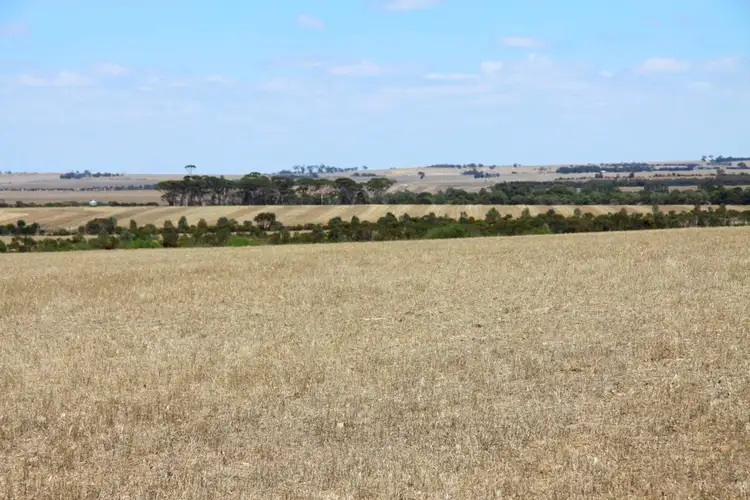 Sixth view of Homely rural property listing, 2716 Southern Brook Rd, Meckering WA 6405