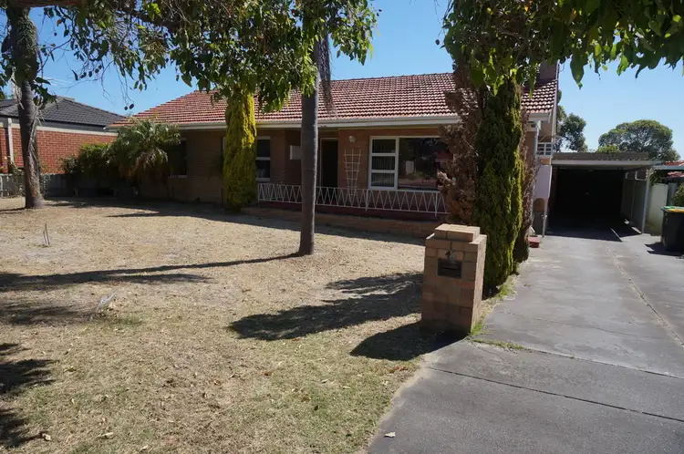 41 Hancock Street, Nollamara WA 6061