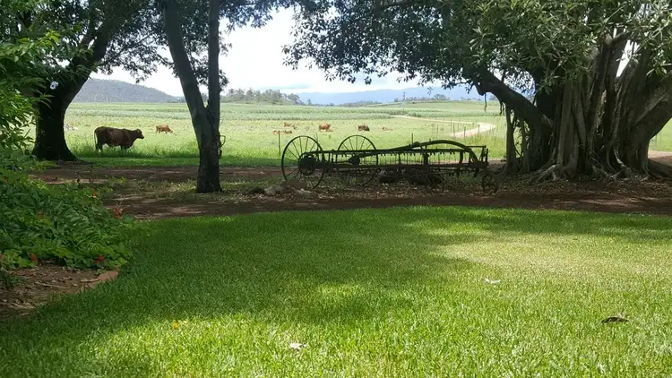 Main view of Homely rural property listing, 39 Badger Wales Road, Mia Mia QLD 4754