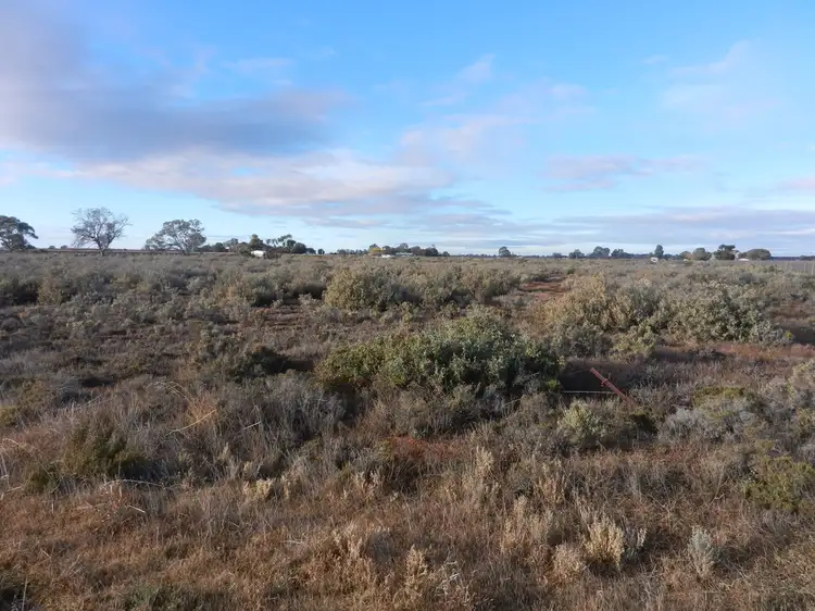 Lot 39 Canal Road, Renmark SA 5341