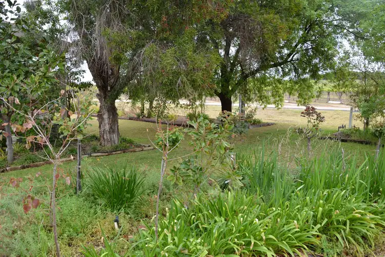 Seventh view of Homely house listing, 172 El Alamein Road, Robinvale VIC 3549