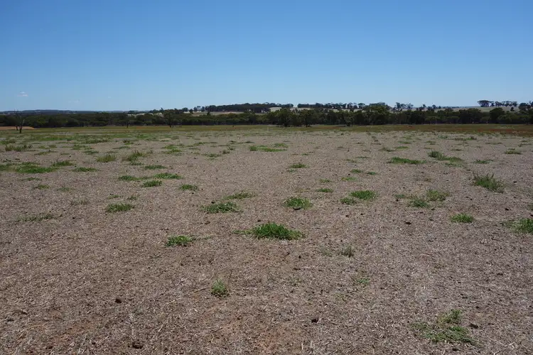 Fourth view of Homely rural property listing, Lot 3837 Spriggs Fraser Road, Wagin WA 6315