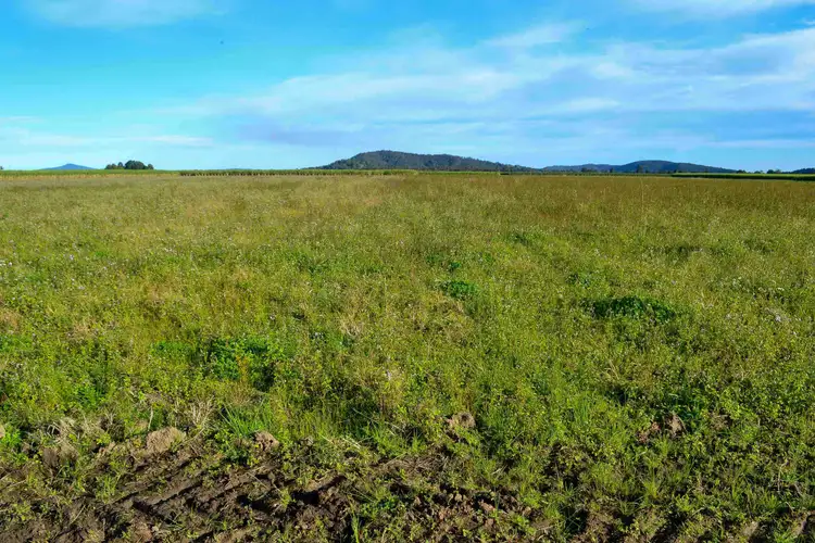 Third view of Homely land listing, Lot 1 Watts Lane, Harwood NSW 2465