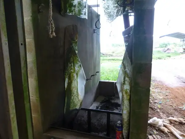 Seventh view of Homely rural property listing, Address available on request