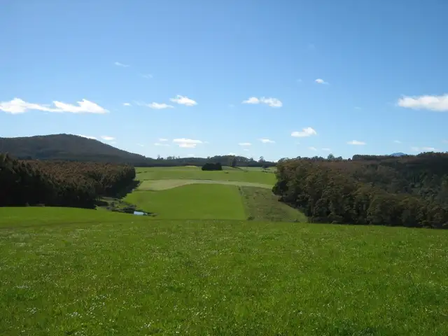 Main view of Homely rural property listing, 686 South Preston Road, Nietta TAS 7315