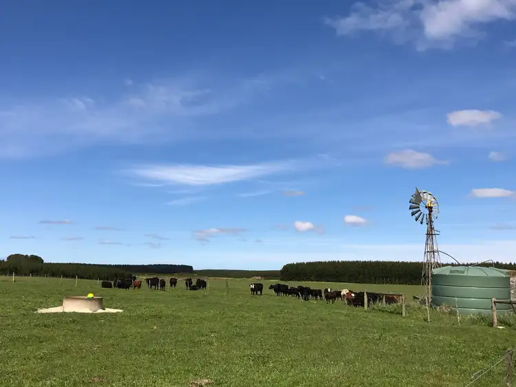 Seventh view of Homely rural property listing, Section 189 Kain Road, Yahl SA 5291