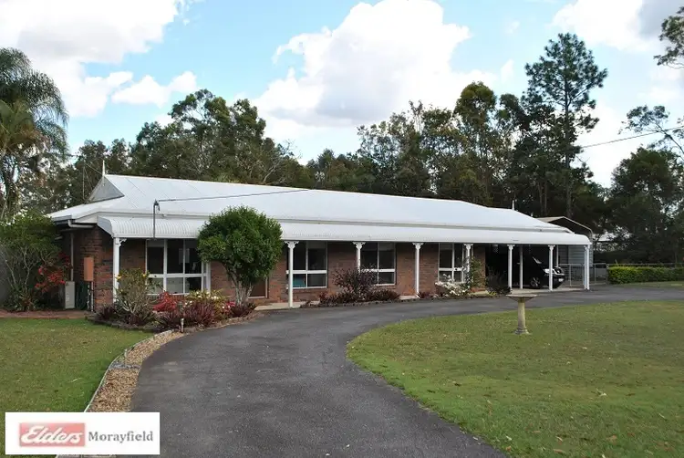 Main view of Homely house listing, 97 Hall Road, Elimbah QLD 4516