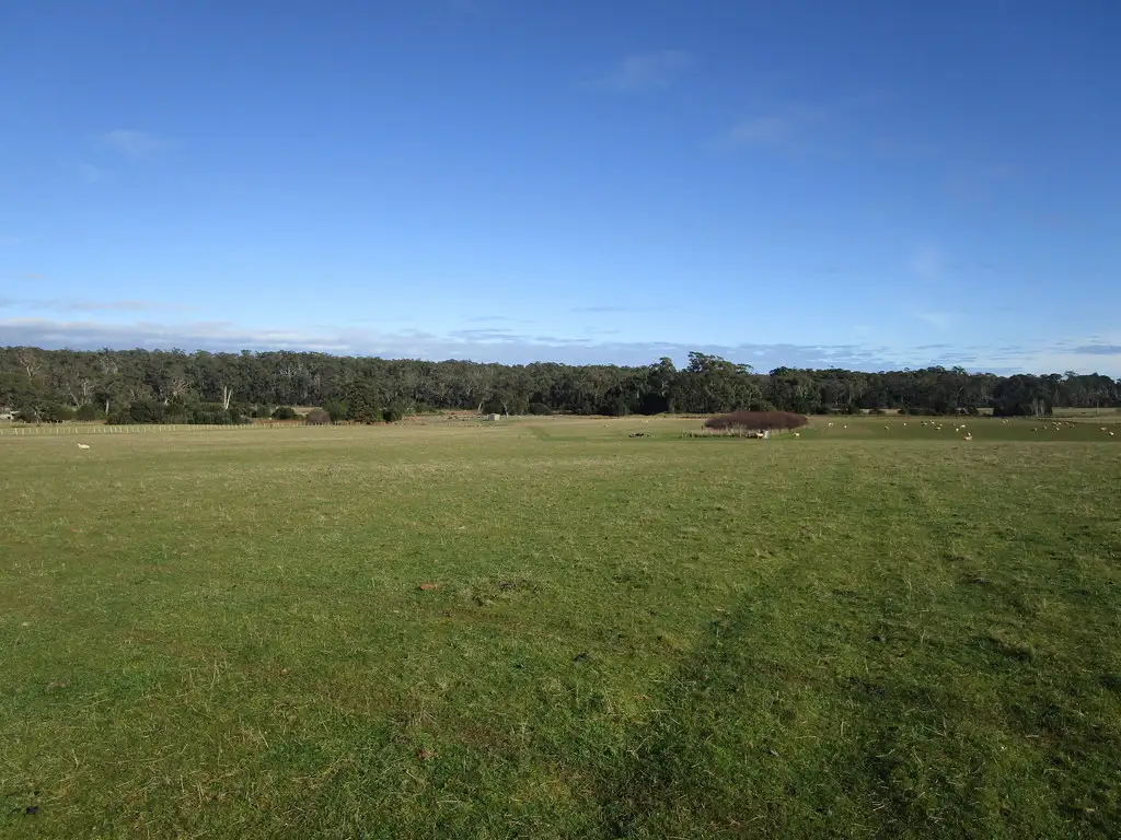 Main view of Homely rural property listing, 295 Palmers Road, Latrobe TAS 7307