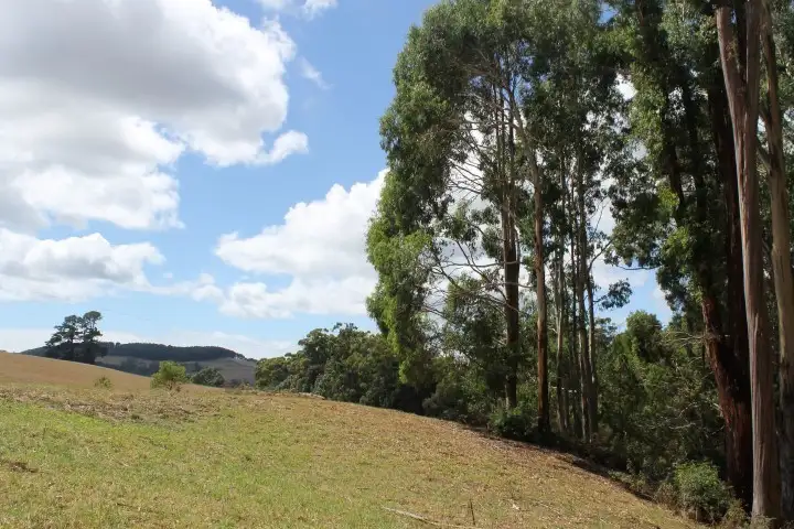Third view of Homely land listing, 80 Tippetts Road, Mount Hicks TAS 7325