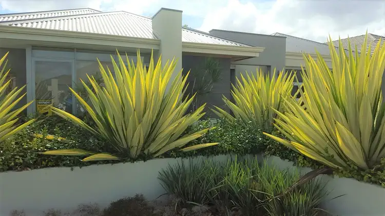Fourth view of Homely house listing, 17 Virago Street, Aveley WA 6069