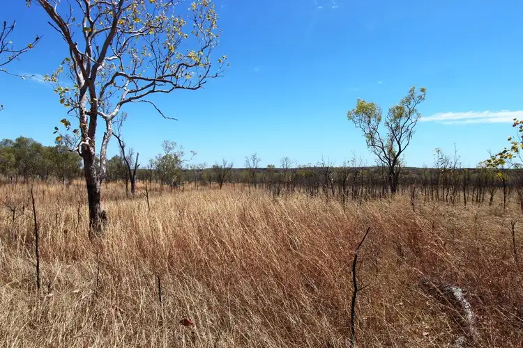 Sixth view of Homely rural property listing, 1335 GORGE ROAD, Katherine NT 850