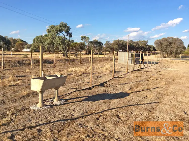 Sixth view of Homely rural property listing, 36-38 Darling Street, Pooncarie NSW 2648