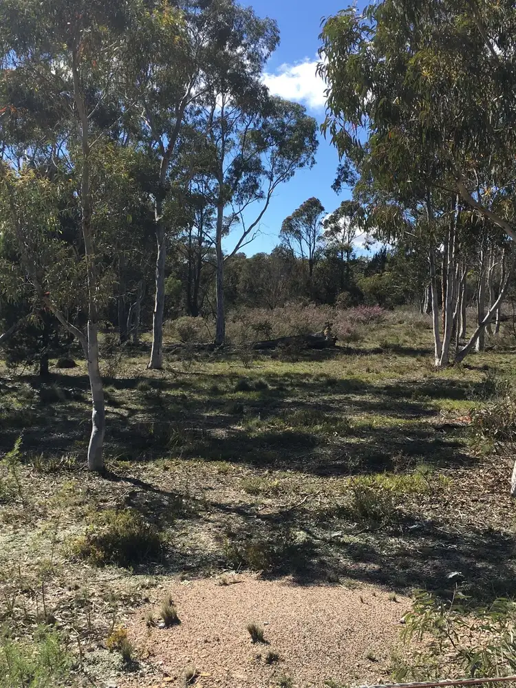 Main view of Homely rural property listing, 917 Sandy Point Road, Lower Boro NSW 2580