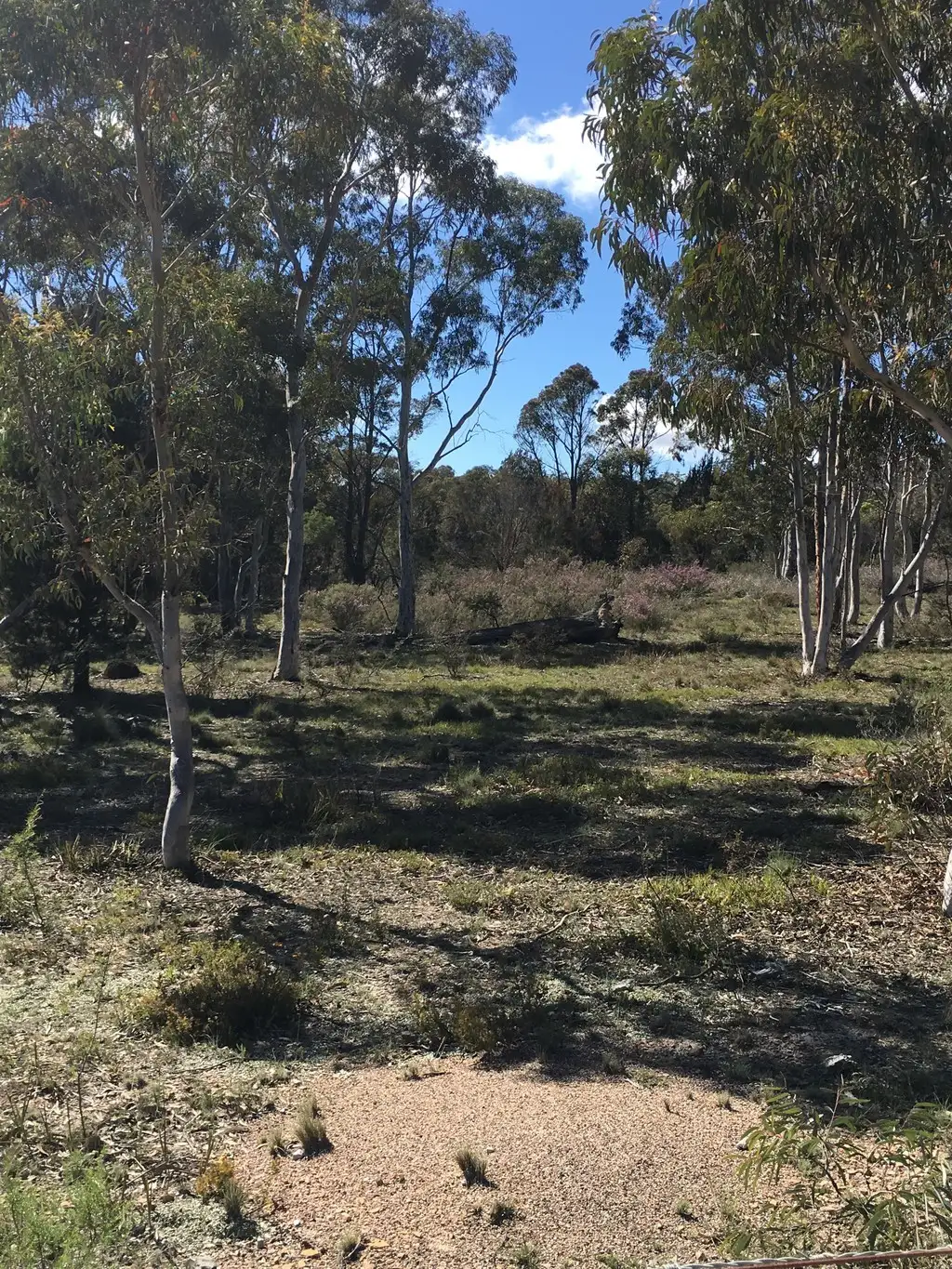 Main view of Homely rural property listing, 917 Sandy Point Road, Lower Boro NSW 2580