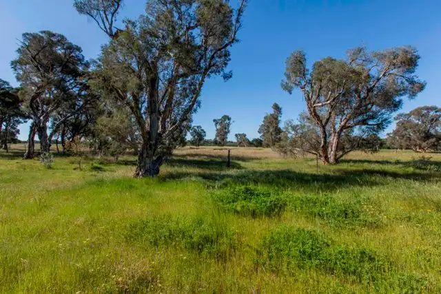 Fourth view of Homely rural property listing, Lot 1634/2010 Nolan Rd, Muchea WA 6501