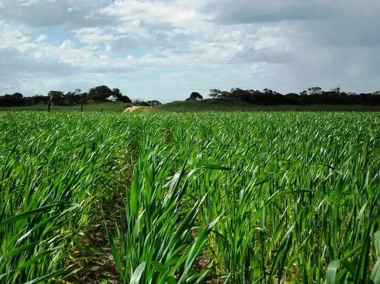 Second view of Homely rural property listing, Section 22 Walsh Road, Hundred of, Lock SA 5633