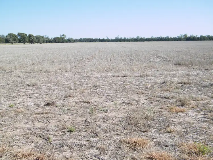 Third view of Homely rural property listing, "Sutton Grange", Meandarra QLD 4422