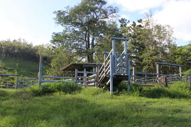 Third view of Homely house listing, Mt Martin Loop Road, Mount Martin QLD 4754