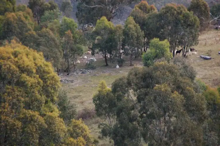 Third view of Homely rural property listing, 127 and 128 Limekilns Road, Bathurst NSW 2795