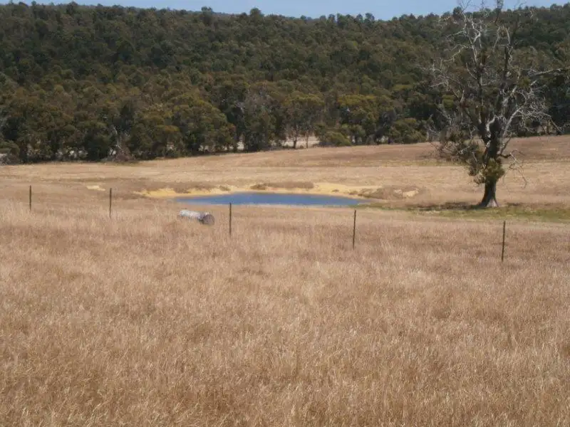 Main view of Homely rural property listing, Lot 3544 Gibbs Rd, Boyup Brook WA 6244