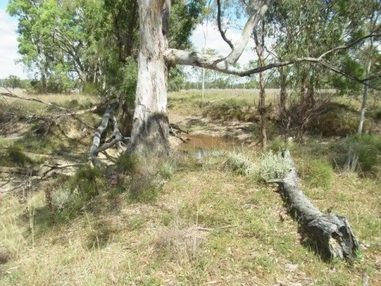 Sixth view of Homely rural property listing, Lot 2020 Leyburn Forestry Road, Thanes Creek QLD 4370