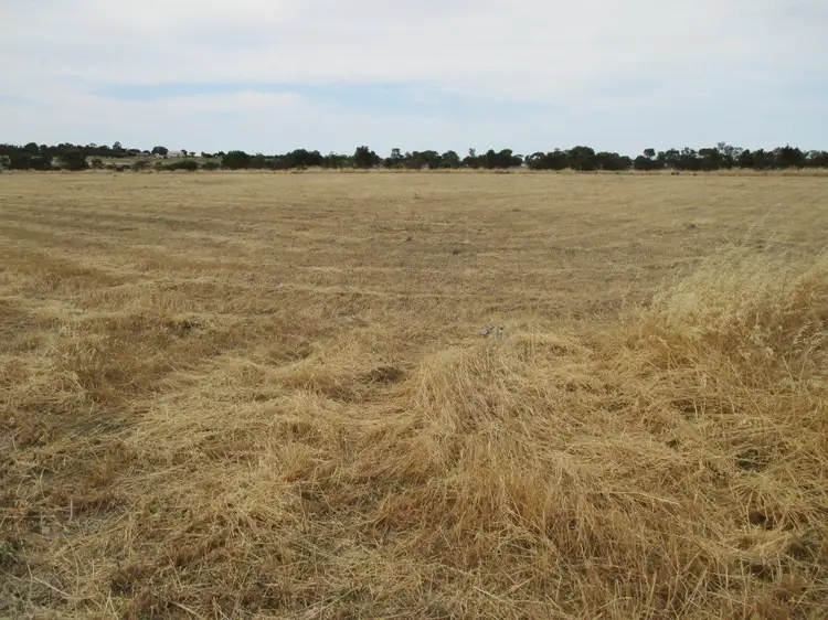 Third view of Homely land listing, Lot 31 Big Olive Grove, Tailem Bend SA 5260