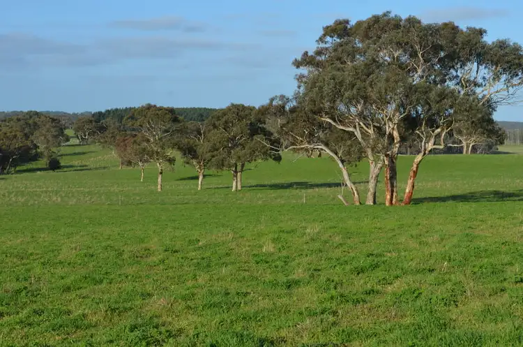 Sixth view of Homely rural property listing, 166 Ewers Lane, Lucindale SA 5272
