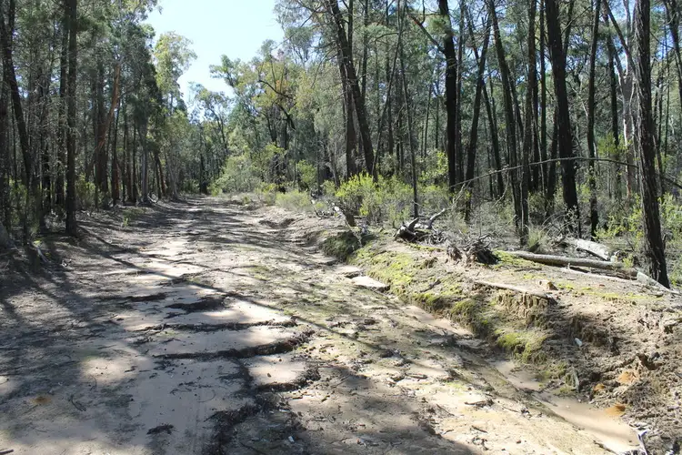 Fifth view of Homely rural property listing, 280 Yammacoona Estate Road, Delungra NSW 2403