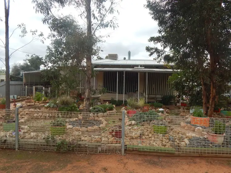 Main view of Homely house listing, 55 Perry Street, Euston NSW 2737