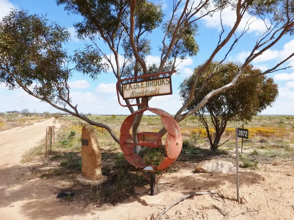 Main view of Homely rural property listing, 2872 Mollerin Rock South Rd, Lake Margarette WA 6475