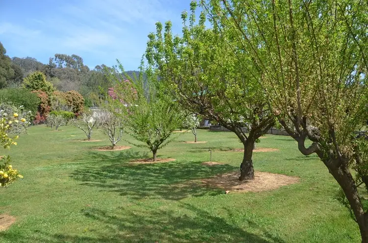 Second view of Homely land listing, 79 Kiewa Valley Highway, Tawonga South VIC 3698