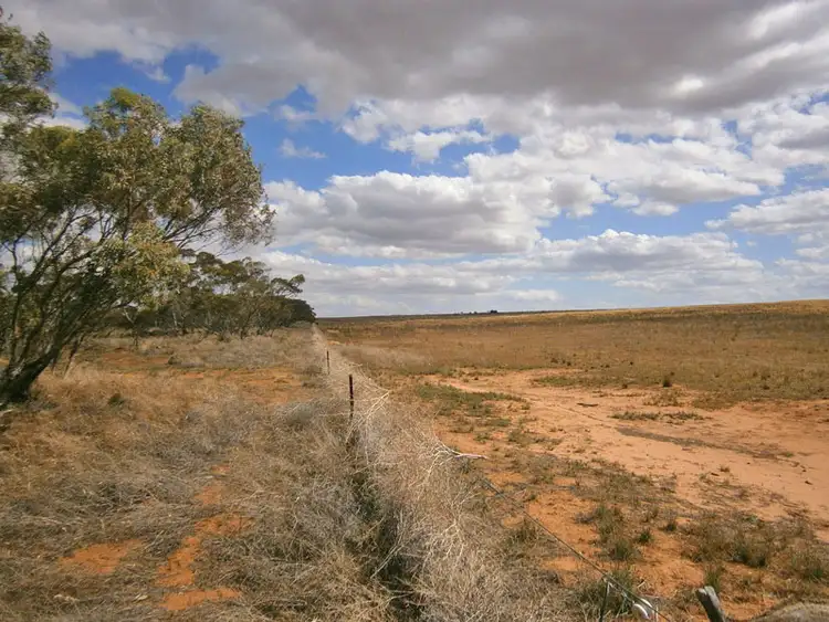 Sixth view of Homely rural property listing, Lot 7 Sturt Highway, Waikerie SA 5330
