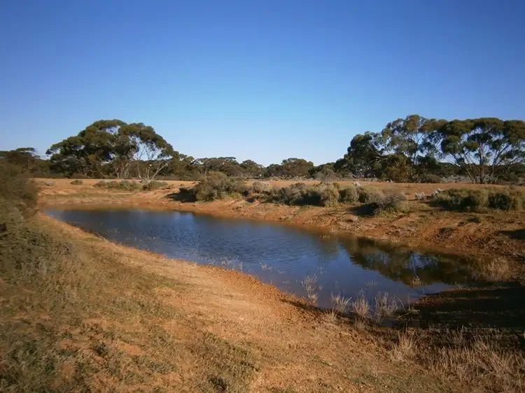 Sixth view of Homely rural property listing, Lot 252 Twill Road, Morgan SA 5320