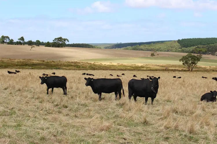Second view of Homely rural property listing, 738 Range Road, Parawa SA 5203