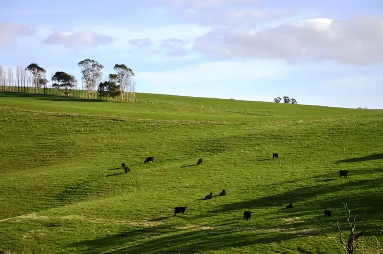 Fourth view of Homely rural property listing, 80 Wilsons Road, Arawata via, Korumburra VIC 3950