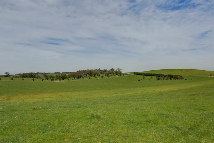Third view of Homely rural property listing, 'Sky Hill' Bibby's Lane, Moss Vale NSW 2577