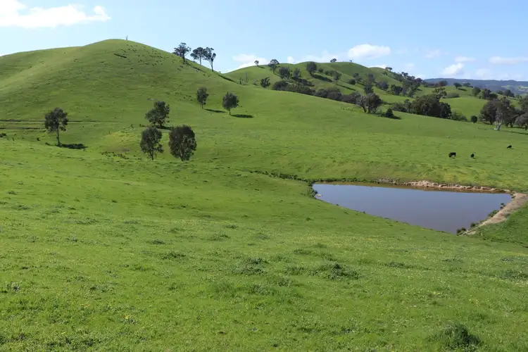 Main view of Homely rural property listing, 239 Murrindindi Road, Murrindindi VIC 3717