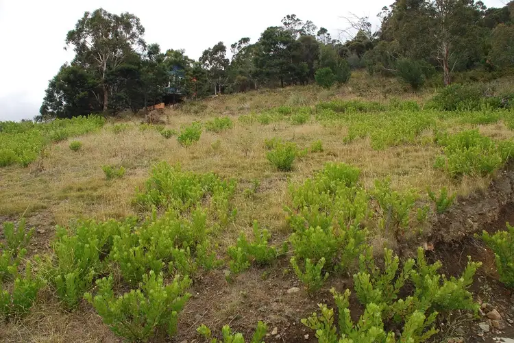 Third view of Homely land listing, Lot 1, 1 Ross Place, Mount Stuart TAS 7000