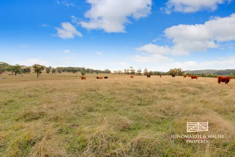 Main view of Homely rural property listing, Lot 4 Old Hume Hwy, Berrima NSW 2577