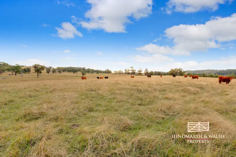 Main view of Homely rural property listing, Lot 4 Old Hume Hwy, Berrima NSW 2577