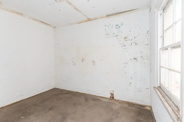 Fifth view of Homely house listing, 139 Kippax Street, Surry Hills NSW 2010