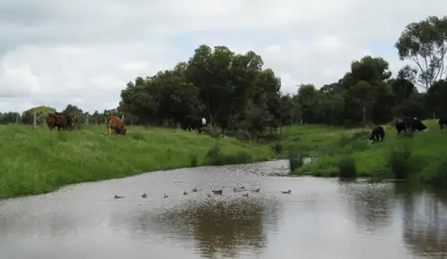 Sixth view of Homely rural property listing, 150 McCanns Road, Mount Duneed VIC 3217